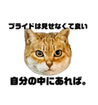 日常会話で使える！！猫語スタンプ1（個別スタンプ：23）