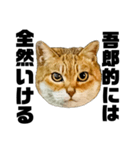 日常会話で使える！！猫語スタンプ1（個別スタンプ：33）