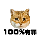 日常会話で使える！！猫語スタンプ1（個別スタンプ：36）