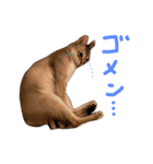 そちゃんぷ 3（個別スタンプ：2）