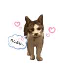 むぎくんの日常❷！（個別スタンプ：2）