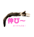むぎくんの日常❷！（個別スタンプ：4）