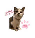 むぎくんの日常❷！（個別スタンプ：9）