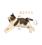 むぎくんの日常❷！（個別スタンプ：12）