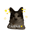 むぎくんの日常❷！（個別スタンプ：18）