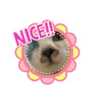 むぎくんの日常❷！（個別スタンプ：19）