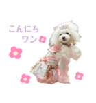 姫ファミリー  part1（個別スタンプ：5）