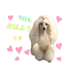 姫ファミリー  part1（個別スタンプ：6）