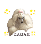姫ファミリー  part1（個別スタンプ：7）