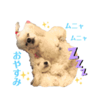 姫ファミリー  part1（個別スタンプ：8）
