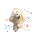 姫ファミリー  part1（個別スタンプ：13）