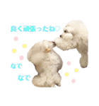 姫ファミリー  part1（個別スタンプ：28）