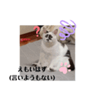 まえもとけでふ（個別スタンプ：9）