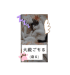まえもとけでふ（個別スタンプ：14）