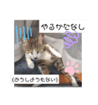 まえもとけでふ（個別スタンプ：18）