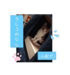 まえもとけでふ（個別スタンプ：22）