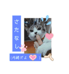 まえもとけでふ（個別スタンプ：23）