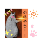まえもとけでふ（個別スタンプ：24）