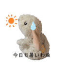 もこふわアニマル（個別スタンプ：1）