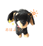 もこふわアニマル（個別スタンプ：2）