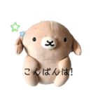 もこふわアニマル（個別スタンプ：4）