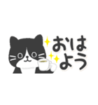 【省スペース】ハチワレ猫こてつ（個別スタンプ：21）