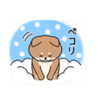 まんまる柴犬の日常スタンプ（個別スタンプ：26）