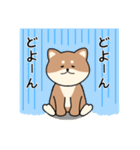 まんまる柴犬の日常スタンプ（個別スタンプ：32）