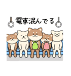 まんまる柴犬の日常スタンプ（個別スタンプ：36）