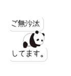 ぱんだ好きが作る★吹き出しスタンプ（個別スタンプ：31）