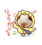 モルモットの心愛2（個別スタンプ：7）