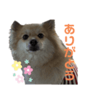 jasumin（個別スタンプ：6）