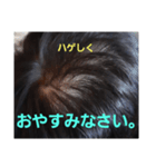 ハゲしすぎる男（個別スタンプ：3）