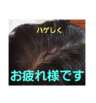 ハゲしすぎる男（個別スタンプ：9）