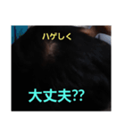 ハゲしすぎる男（個別スタンプ：10）