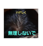 ハゲしすぎる男（個別スタンプ：11）