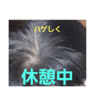 ハゲしすぎる男（個別スタンプ：15）
