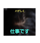 ハゲしすぎる男（個別スタンプ：16）