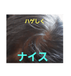 ハゲしすぎる男（個別スタンプ：18）