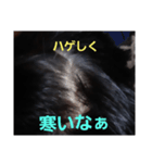ハゲしすぎる男（個別スタンプ：21）