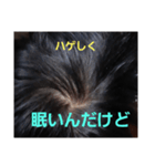 ハゲしすぎる男（個別スタンプ：22）