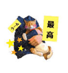 【猫のまつりちゃん】わがまままつりちゃん（個別スタンプ：29）