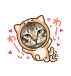 小虎3（個別スタンプ：1）