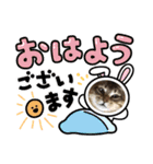 小虎3（個別スタンプ：3）