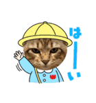 小虎3（個別スタンプ：6）