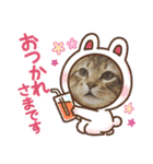 小虎3（個別スタンプ：9）