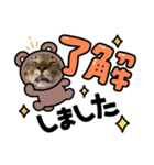 コタクロスタンプ（個別スタンプ：1）