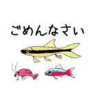 すいそう生物の日常スタンプ（個別スタンプ：4）