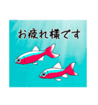 すいそう生物の日常スタンプ（個別スタンプ：6）