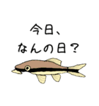 すいそう生物の日常スタンプ（個別スタンプ：8）